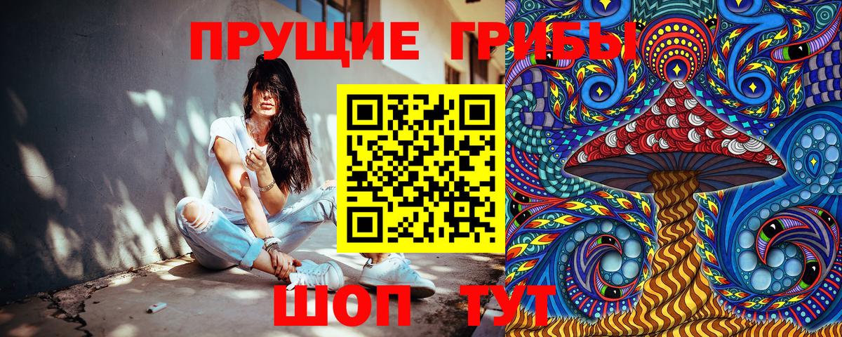 Псилоцибиновые грибы мицелий  Галлюциногенные грибы Cubensis  Уварово  Вход с VPN 